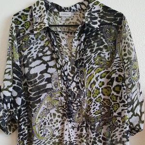 Silky, see through blouse